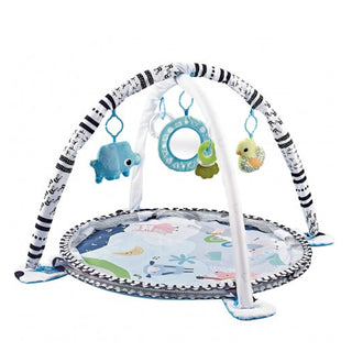 Lucky Baby  2 In 1 Ocean Activity Playgym (promo)